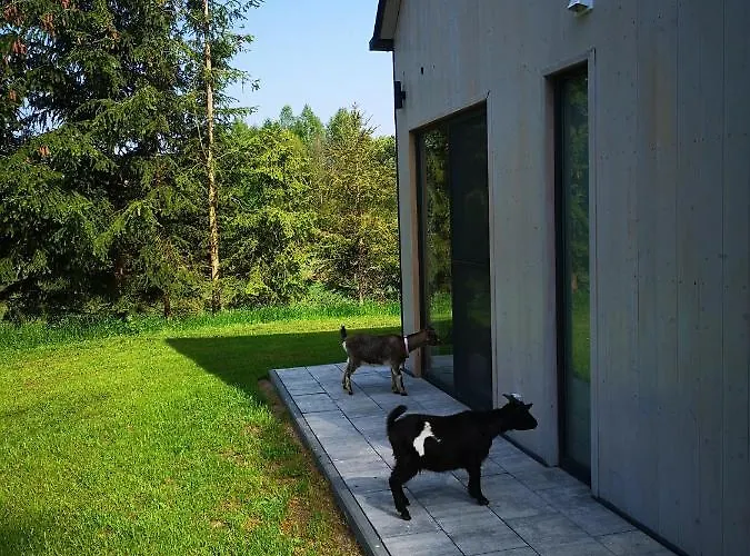 Zywiolowo - W Stylu Stodoly Z Placem Zabaw I Stawem - Ziemia *